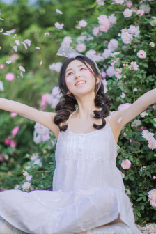 完美的妻子